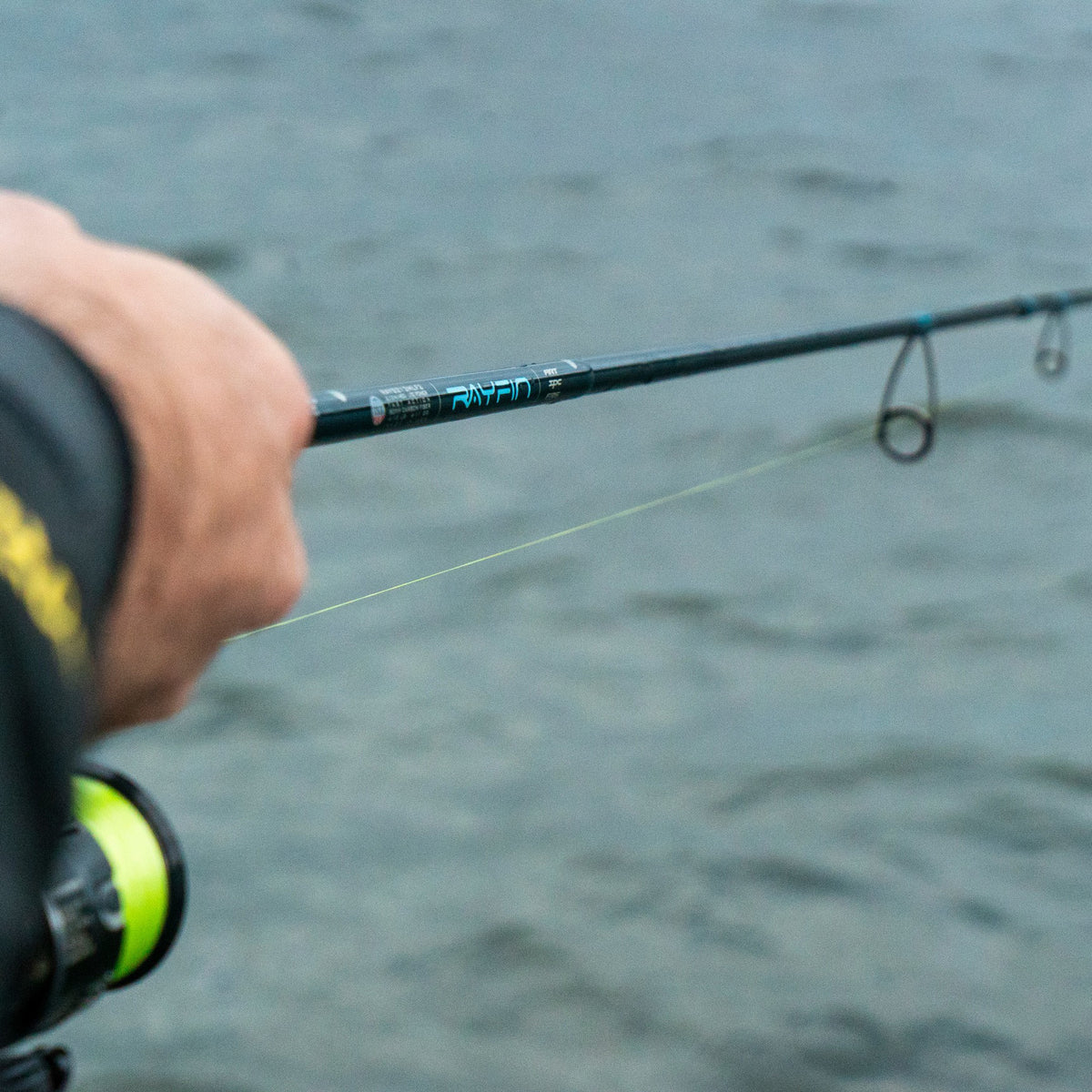 RAYFIN SERIES