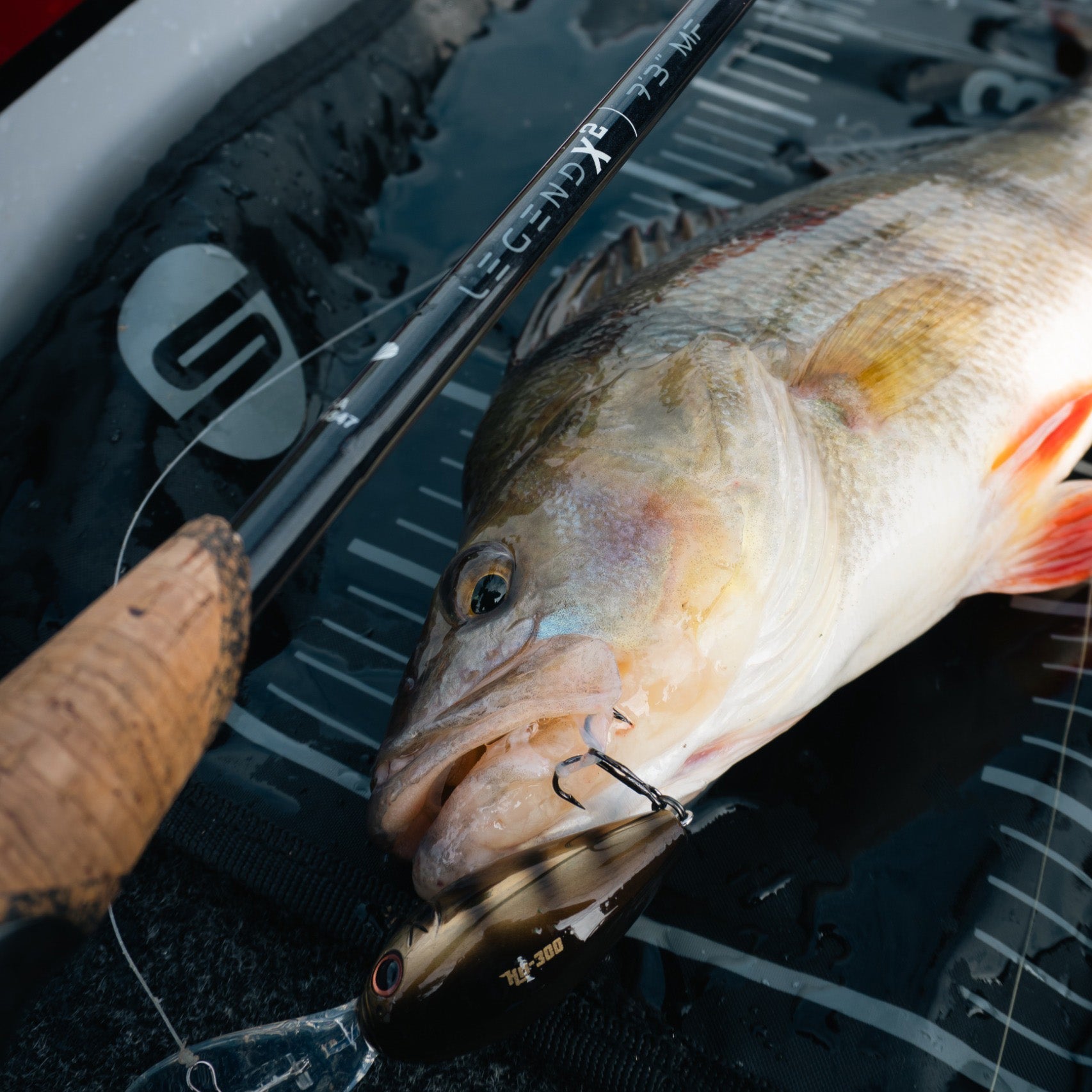 St. Croix Legend X2 7'3" MF – Barschangeln mit Crankbaits
