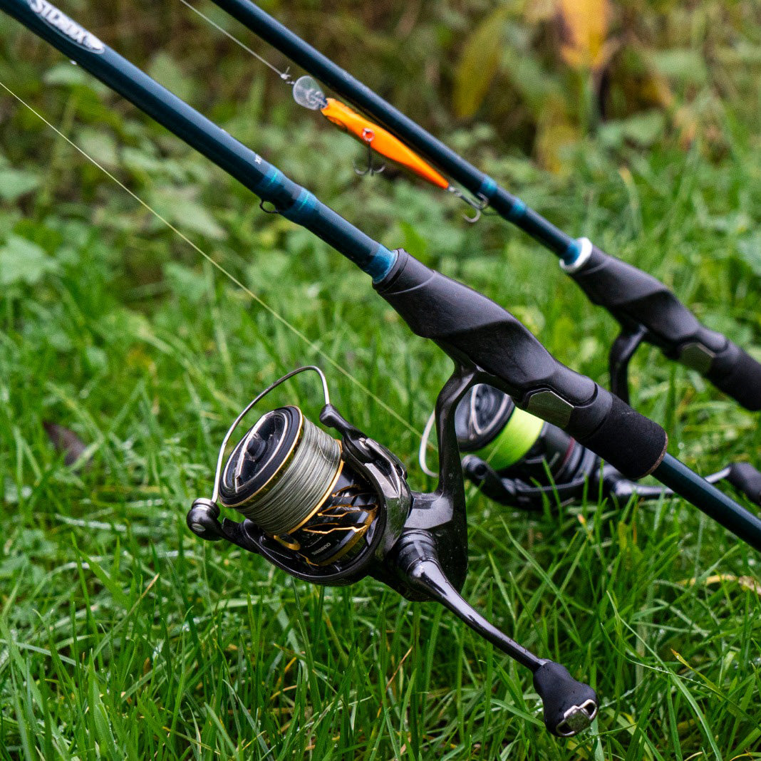 RAYFIN SERIES