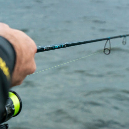 RAYFIN SERIES