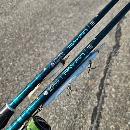 RAYFIN SERIES