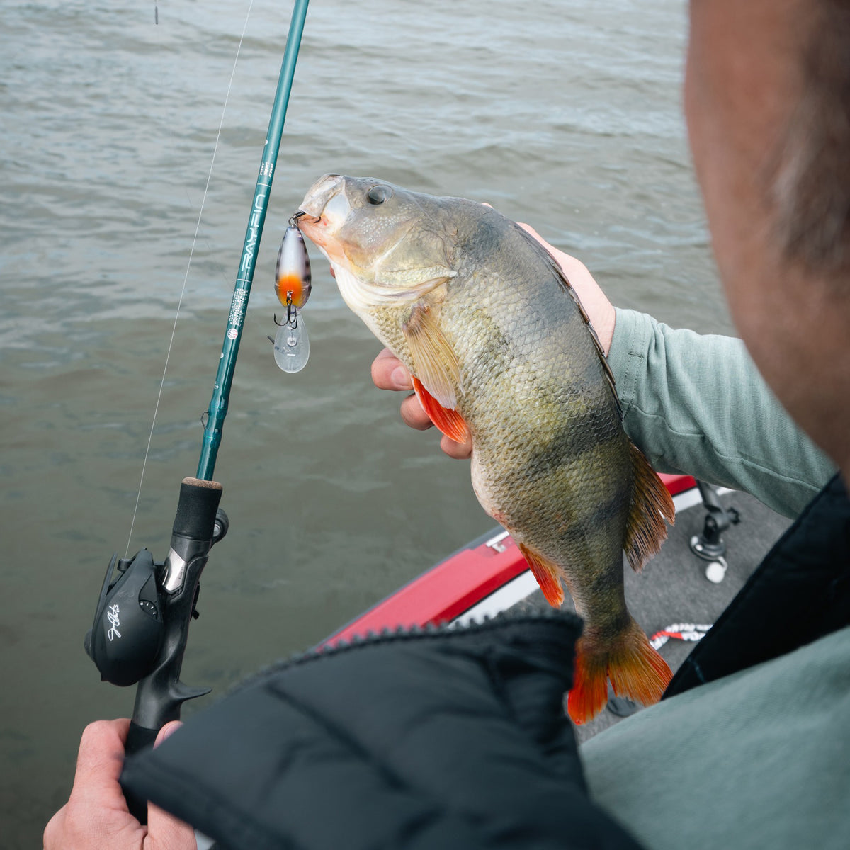 RAYFIN SERIES